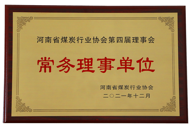 河南省煤炭行業(yè)協(xié)會常務(wù)理事單位